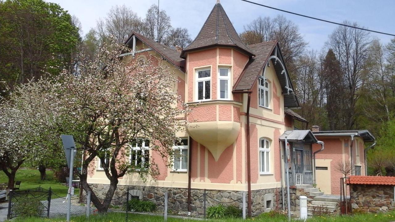 Apartmany Villa Magnolie Липова Лазне Екстериор снимка